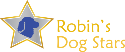 robin's dog stars logo