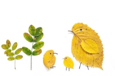 Yellow leaves arranged to look like birds