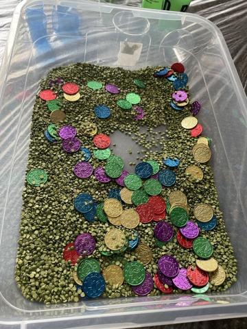 colorful coins in plastic bin with beans