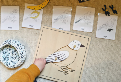 hand reaching out to bird crafts arrayed on a floor