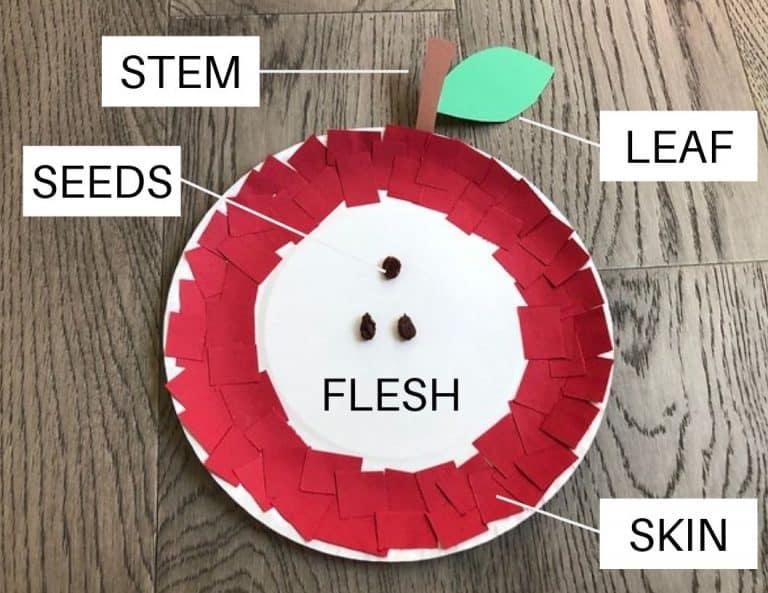 paper plate apple craft